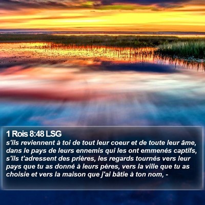 1 Rois 8:48 LSG Bible Verse Image