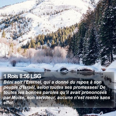 1 Rois 8:56 LSG Bible Verse Image
