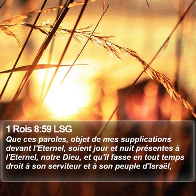1 Rois 8:59 LSG Bible Verse Image