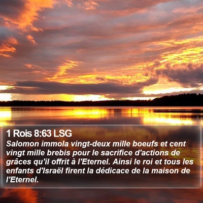 1 Rois 8:63 LSG Bible Verse Image