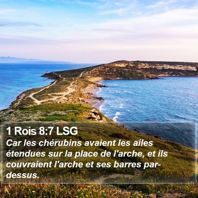 1 Rois 8:7 LSG Bible Verse Image