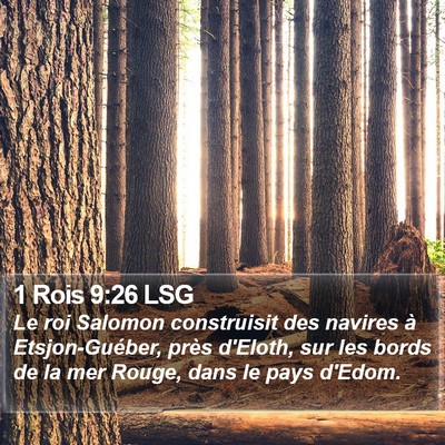 1 Rois 9:26 LSG Bible Verse Image