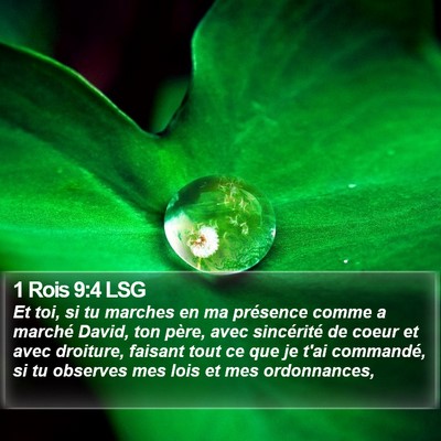 1 Rois 9:4 LSG Bible Verse Image