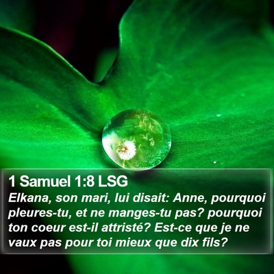1 Samuel 1:8 LSG Bible Verse Image
