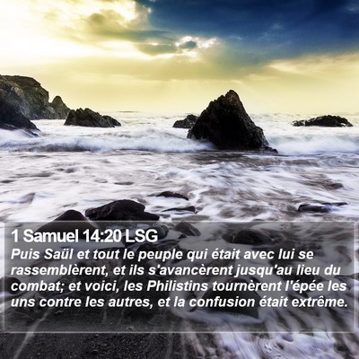 1 Samuel 14:20 LSG Bible Verse Image