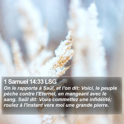 1 Samuel 14:33 LSG Bible Verse Image