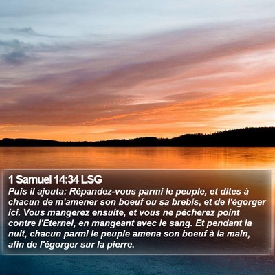 1 Samuel 14:34 LSG Bible Verse Image