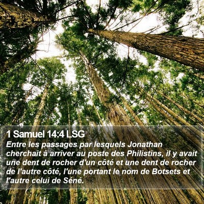 1 Samuel 14:4 LSG Bible Verse Image