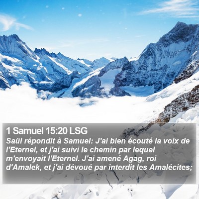 1 Samuel 15:20 LSG Bible Verse Image