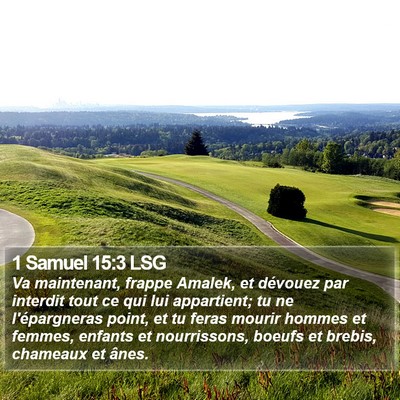 1 Samuel 15:3 LSG Bible Verse Image