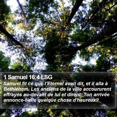 1 Samuel 16:4 LSG Bible Verse Image