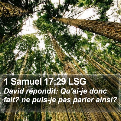 1 Samuel 17:29 LSG Bible Verse Image