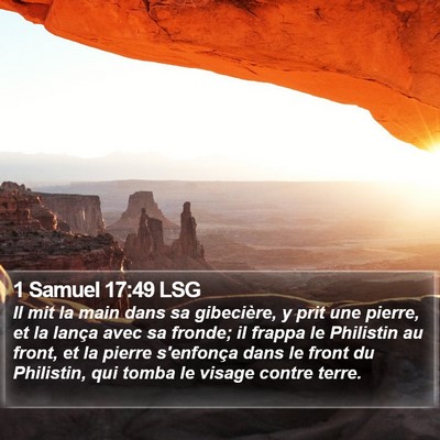 1 Samuel 17:49 LSG Bible Verse Image