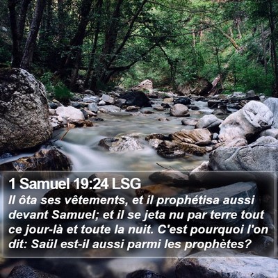 1 Samuel 19:24 LSG Bible Verse Image