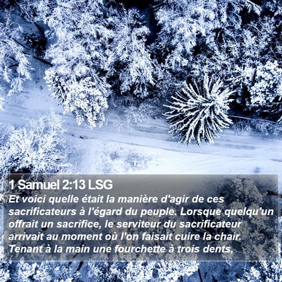 1 Samuel 2:13 LSG Bible Verse Image