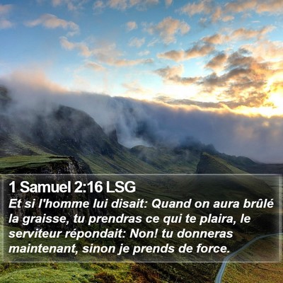1 Samuel 2:16 LSG Bible Verse Image