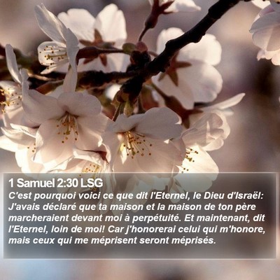 1 Samuel 2:30 LSG Bible Verse Image