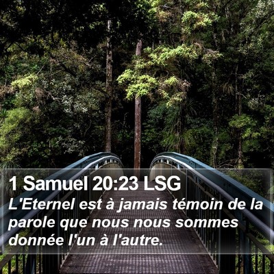 1 Samuel 20:23 LSG Bible Verse Image