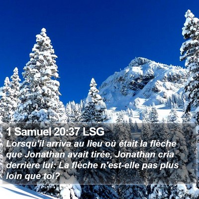 1 Samuel 20:37 LSG Bible Verse Image