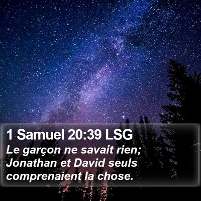 1 Samuel 20:39 LSG Bible Verse Image