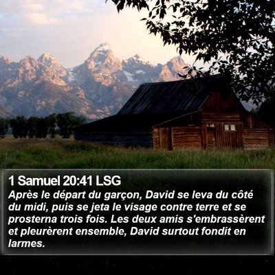 1 Samuel 20:41 LSG Bible Verse Image