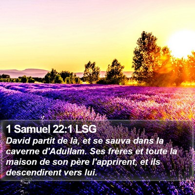 1 Samuel 22:1 LSG Bible Verse Image