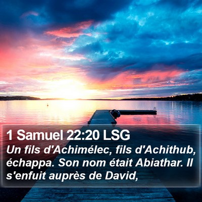 1 Samuel 22:20 LSG Bible Verse Image