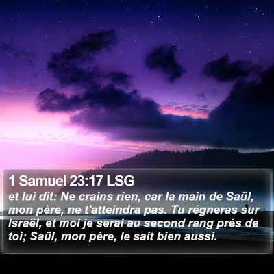 1 Samuel 23:17 LSG Bible Verse Image