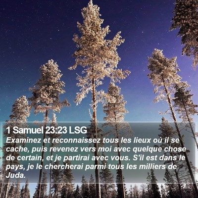 1 Samuel 23:23 LSG Bible Verse Image