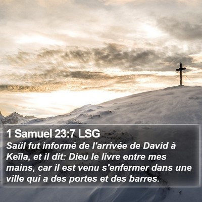 1 Samuel 23:7 LSG Bible Verse Image