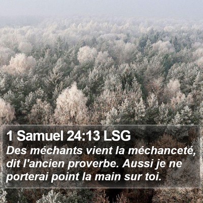 1 Samuel 24:13 LSG Bible Verse Image
