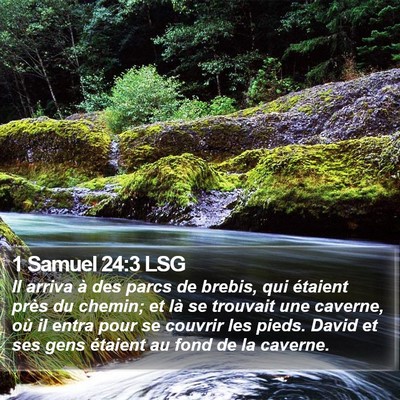 1 Samuel 24:3 LSG Bible Verse Image