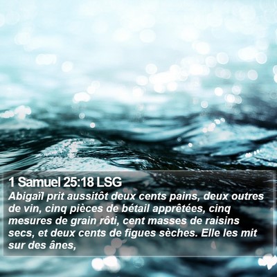 1 Samuel 25:18 LSG Bible Verse Image