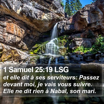 1 Samuel 25:19 LSG Bible Verse Image