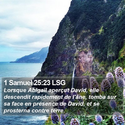 1 Samuel 25:23 LSG Bible Verse Image