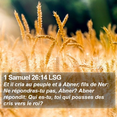 1 Samuel 26:14 LSG Bible Verse Image