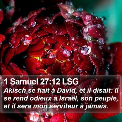 1 Samuel 27:12 LSG Bible Verse Image