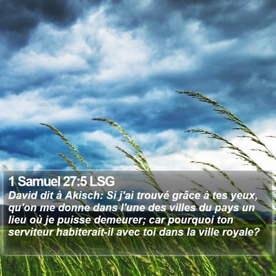 1 Samuel 27:5 LSG Bible Verse Image