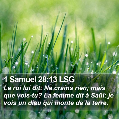 1 Samuel 28:13 LSG Bible Verse Image