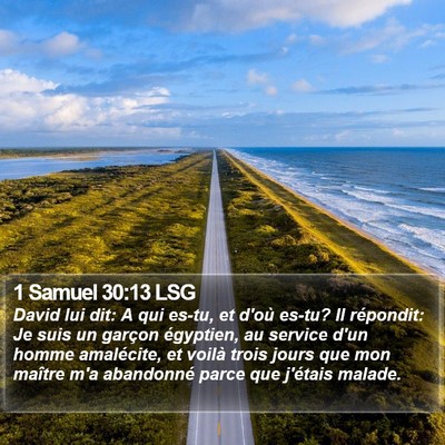 1 Samuel 30:13 LSG Bible Verse Image