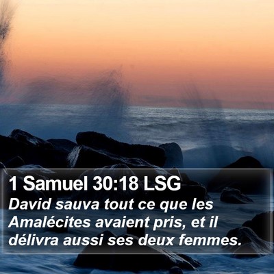 1 Samuel 30:18 LSG Bible Verse Image