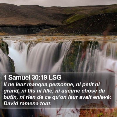 1 Samuel 30:19 LSG Bible Verse Image