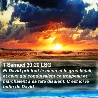 1 Samuel 30:20 LSG Bible Verse Image