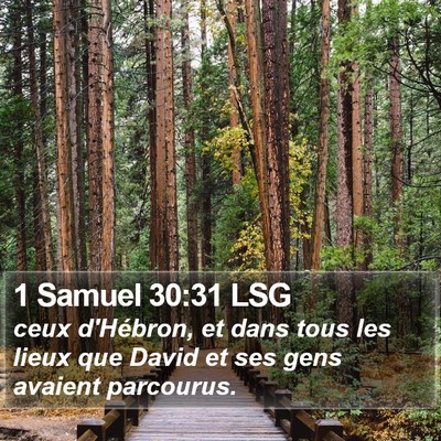 1 Samuel 30:31 LSG Bible Verse Image