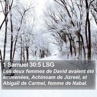 1 Samuel 30:5 LSG Bible Verse Image