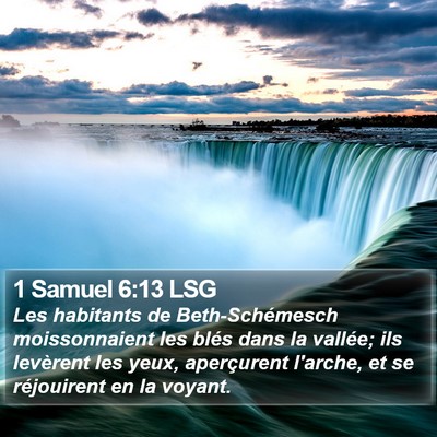 1 Samuel 6:13 LSG Bible Verse Image