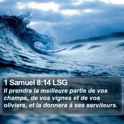1 Samuel 8:14 LSG Bible Verse Image