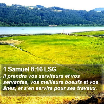 1 Samuel 8:16 LSG Bible Verse Image