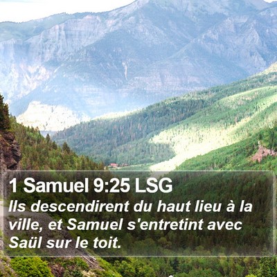 1 Samuel 9:25 LSG Bible Verse Image