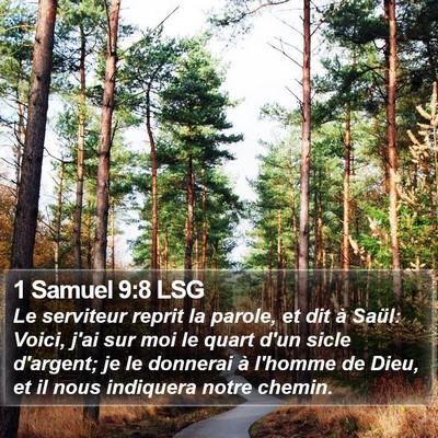 1 Samuel 9:8 LSG Bible Verse Image